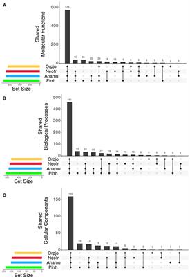 Application of Transcriptomics to Compare the Carbohydrate Active Enzymes That Are Expressed by Diverse Genera of Anaerobic Fungi to Degrade Plant Cell Wall Carbohydrates